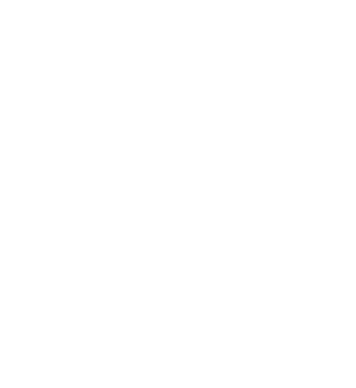 SEfIRE Logo