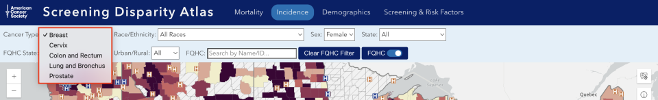 Expanded view of Incidence Map Query Panel (Cancer Type)