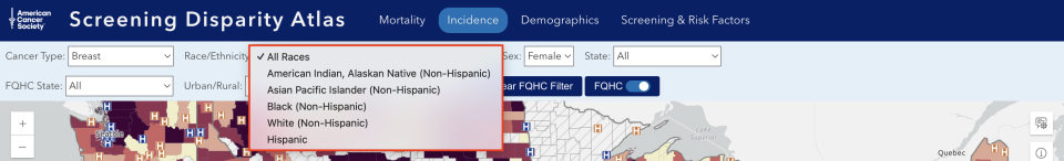 Expanded view of Incidence Map Query Panel (Race/Ethnicity)