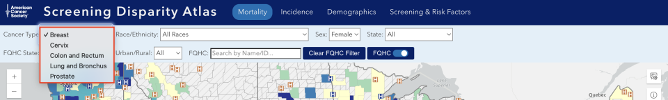 Expanded view of Mortality Map Query Panel (Cancer Type)