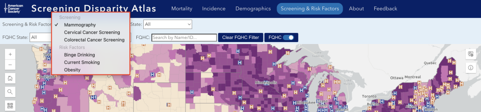 Expanded view of Screening & Risk Factors Map Query Panel