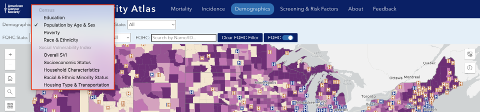 Expanded view of Demographics Map Query Panel